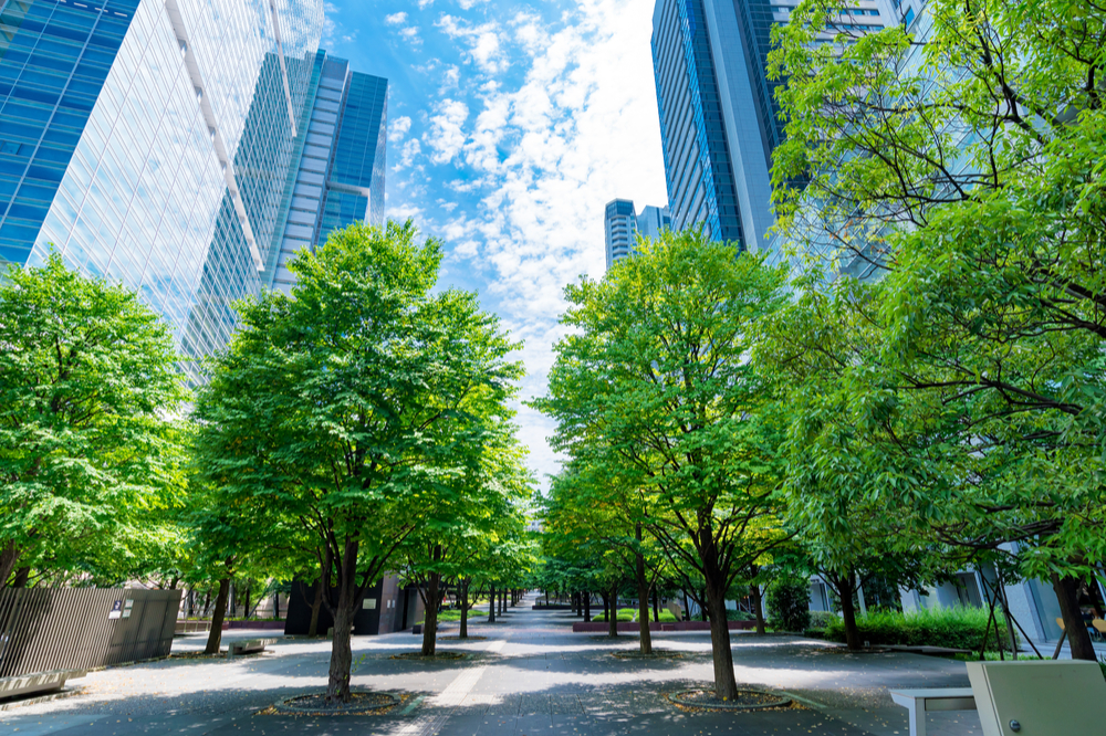 シンプルでカスタマイズしやすいWordPress.org登録テーマ